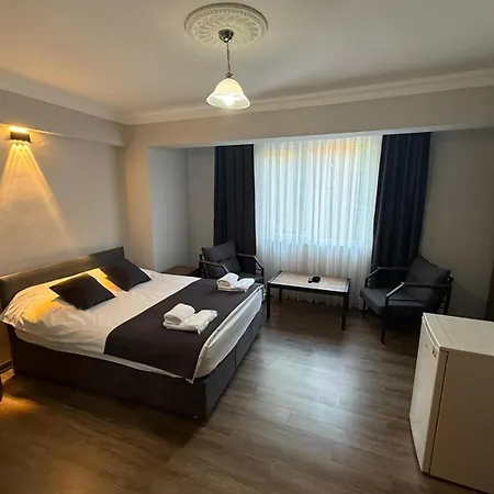 ホテル Sehir キュタヒヤ